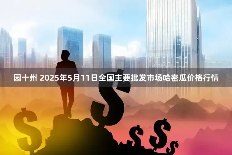 园十州 2025年5月11日全国主要批发市场哈密瓜价格行情