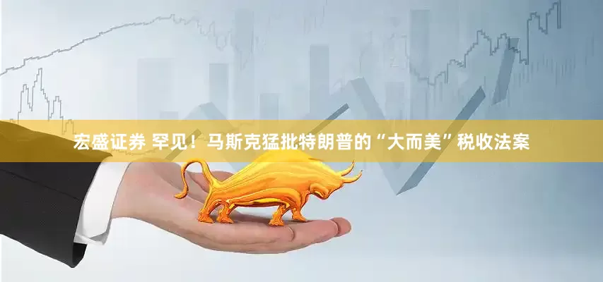 宏盛证券 罕见！马斯克猛批特朗普的“大而美”税收法案