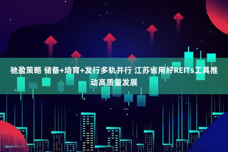驰盈策略 储备+培育+发行多轨并行 江苏省用好REITs工具推动高质量发展