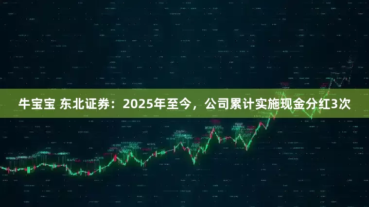 牛宝宝 东北证券：2025年至今，公司累计实施现金分红3次